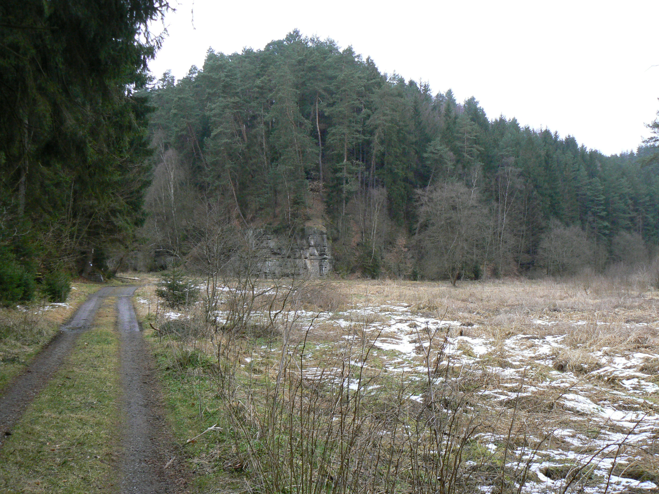 P1070207.JPG