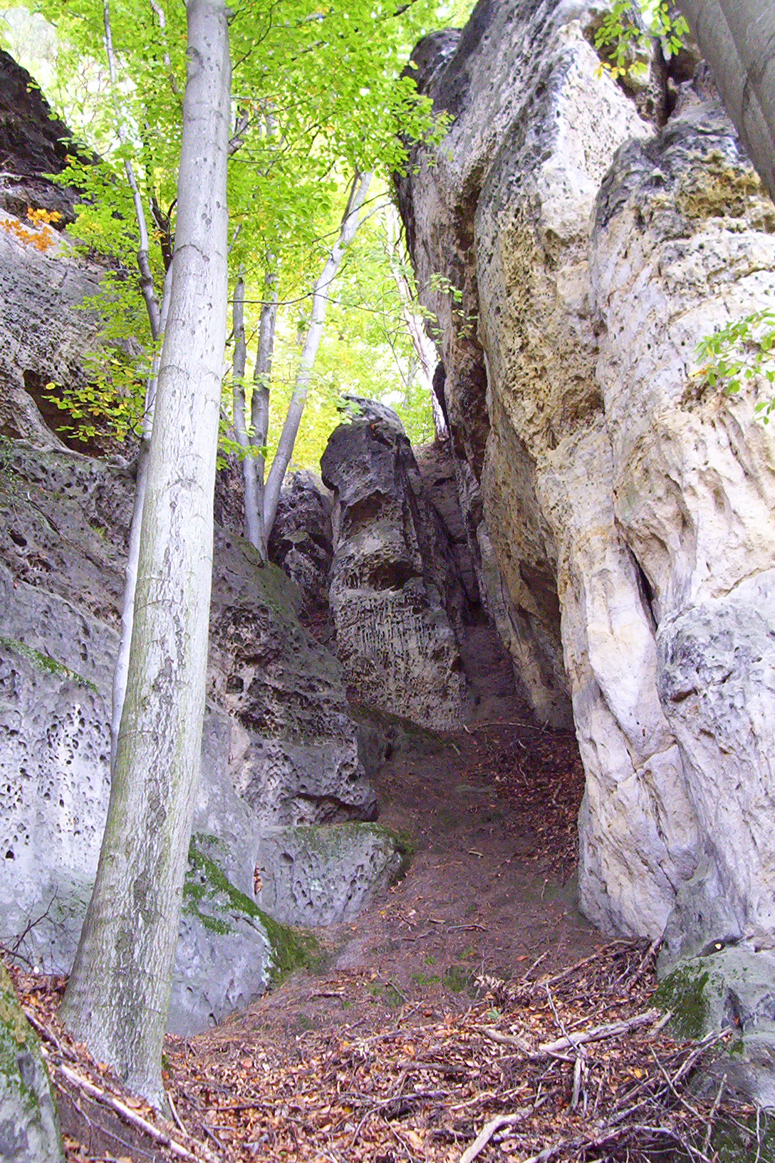 100_7579.JPG